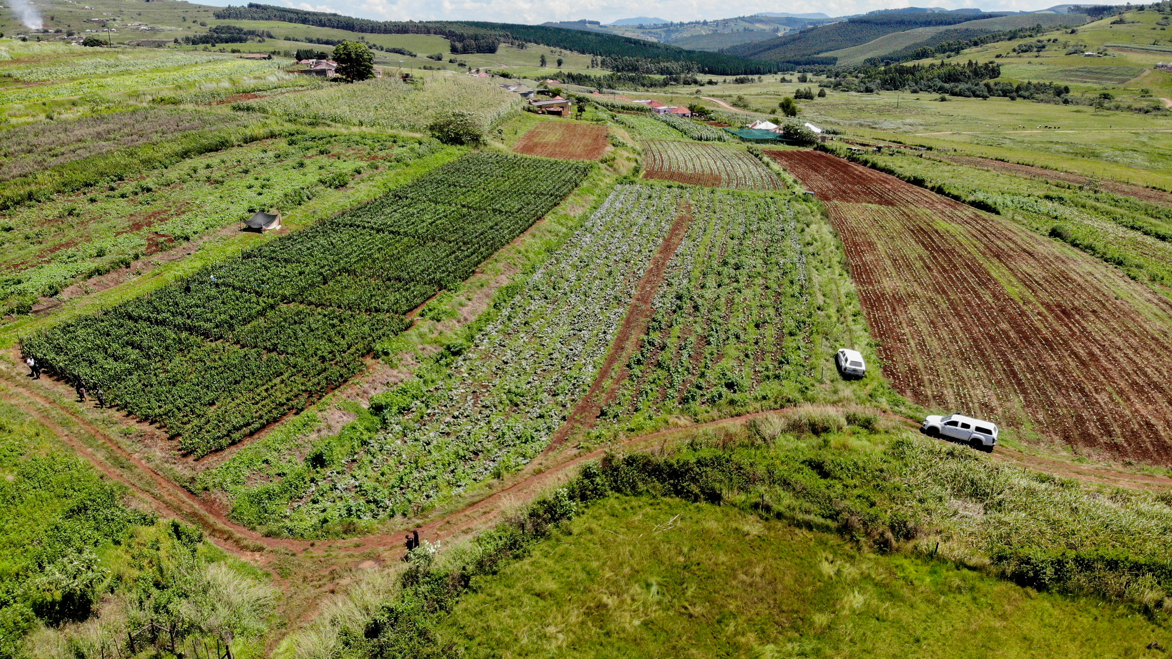 created by dji camera